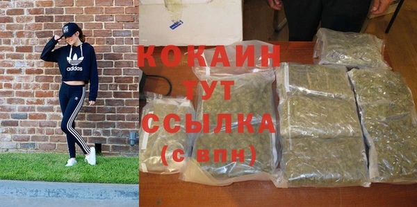 ПСИЛОЦИБИНОВЫЕ ГРИБЫ Зеленодольск