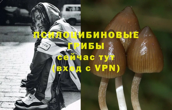 ПСИЛОЦИБИНОВЫЕ ГРИБЫ Зеленодольск