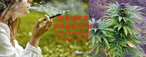 ПСИЛОЦИБИНОВЫЕ ГРИБЫ Зеленодольск
