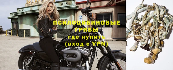 ПСИЛОЦИБИНОВЫЕ ГРИБЫ Зеленодольск