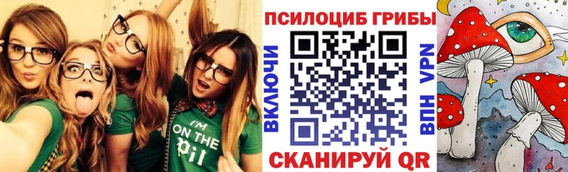 Псилоцибиновые грибы GOLDEN TEACHER  Купить закладки  Мантурово 