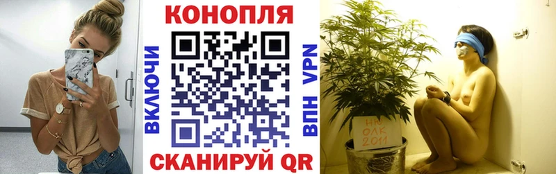 Бошки Шишки SATIVA & INDICA  Купить закладки  Мантурово 